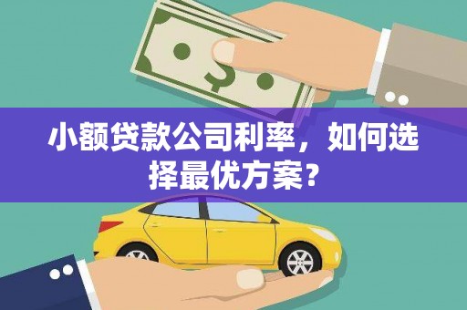 常州小额贷款公司利率，如何选择最优方案？