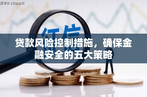常州贷款风险控制措施，确保金融安全的五大策略