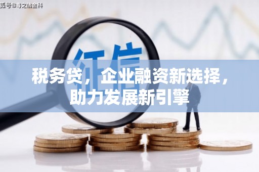 常州税务贷，企业融资新选择，助力发展新引擎