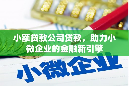 常州小额贷款公司贷款，助力小微企业的金融新引擎