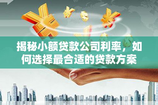 常州揭秘小额贷款公司利率，如何选择最合适的贷款方案
