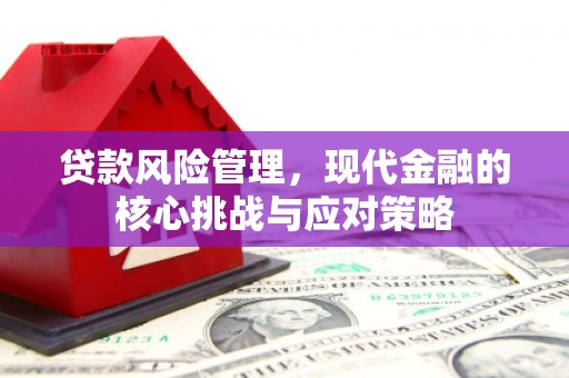 常州贷款风险管理，现代金融的核心挑战与应对策略