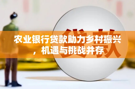 常州农业银行贷款助力乡村振兴，机遇与挑战并存