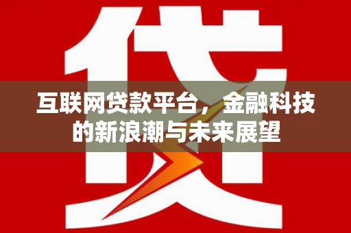 常州互联网贷款平台，金融科技的新浪潮与未来展望