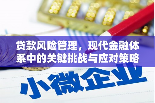 常州贷款风险管理，现代金融体系中的关键挑战与应对策略