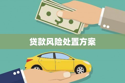 常州贷款风险处置方案