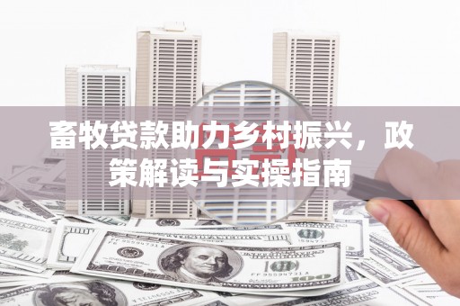 常州畜牧贷款助力乡村振兴，政策解读与实操指南
